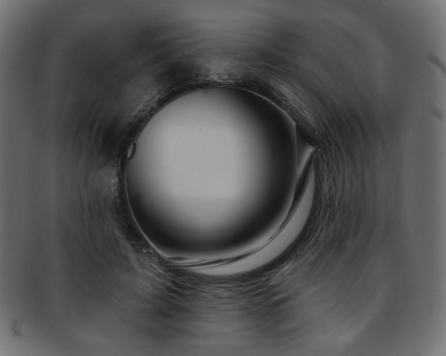 X0000093210595200709261558