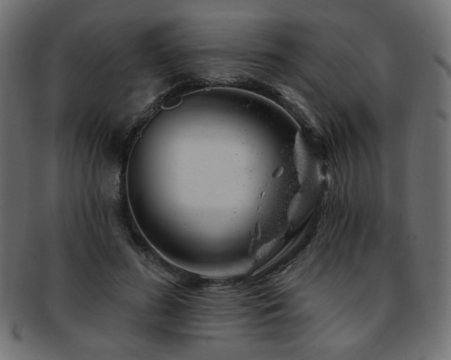 X0000093210596200709261558