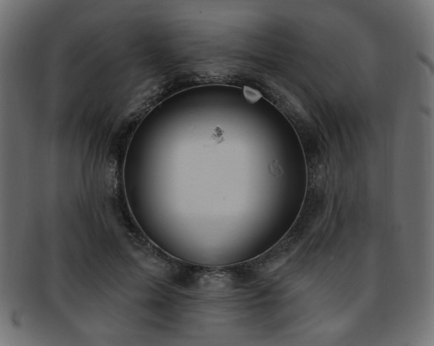 X0000093210599200709261558