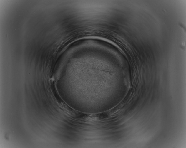 X0000093210604200709261558