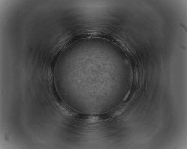 X0000093210609200709261558