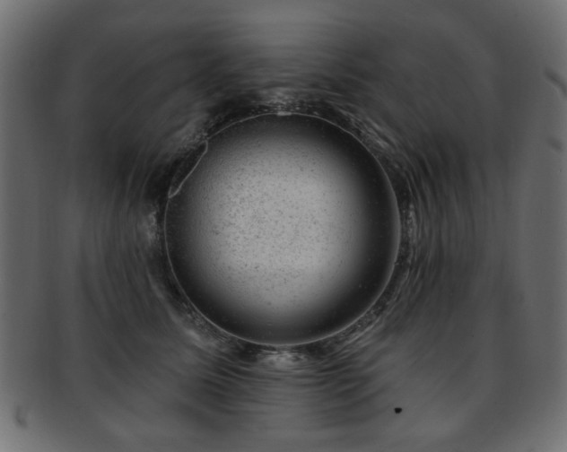 X0000093210611200709261558