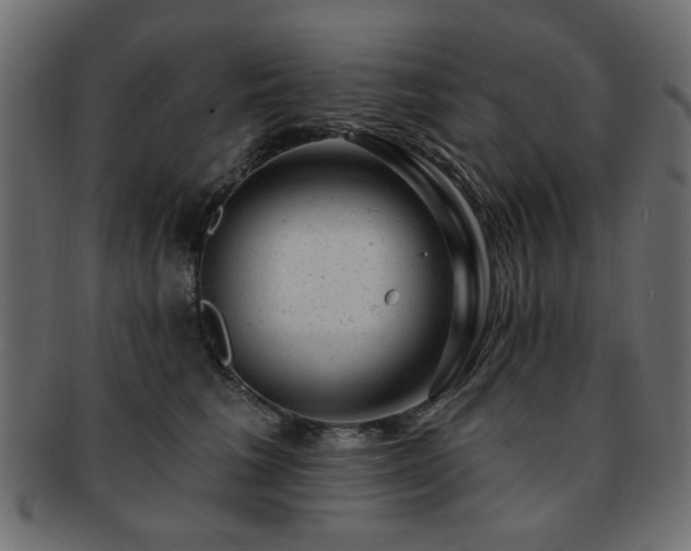 X0000093210613200709261558