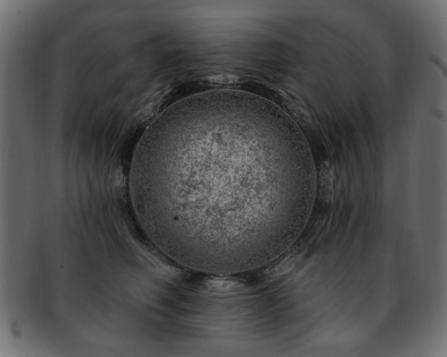 X0000093210614200709261558
