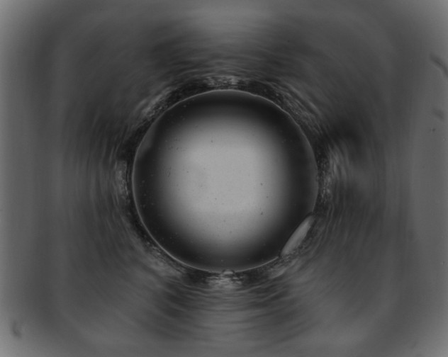 X0000093210616200709261558