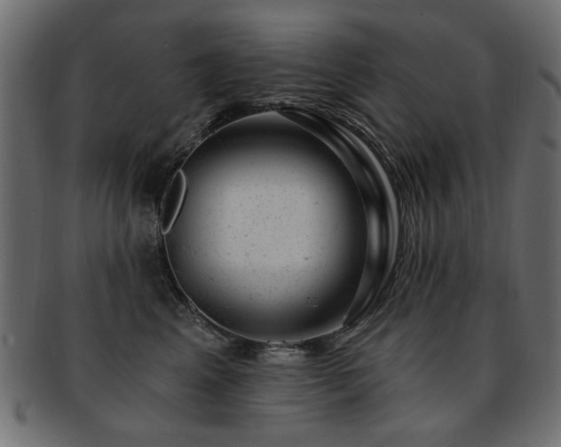 X0000093210617200709261558