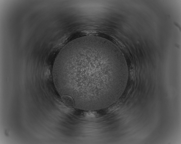 X0000093210618200709261558