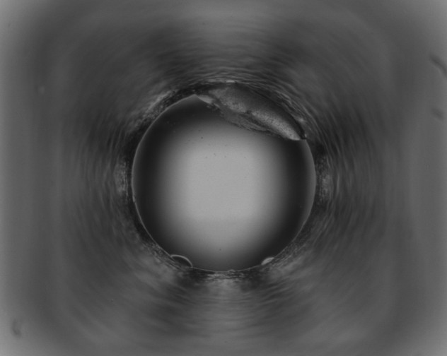 X0000093210620200709261558