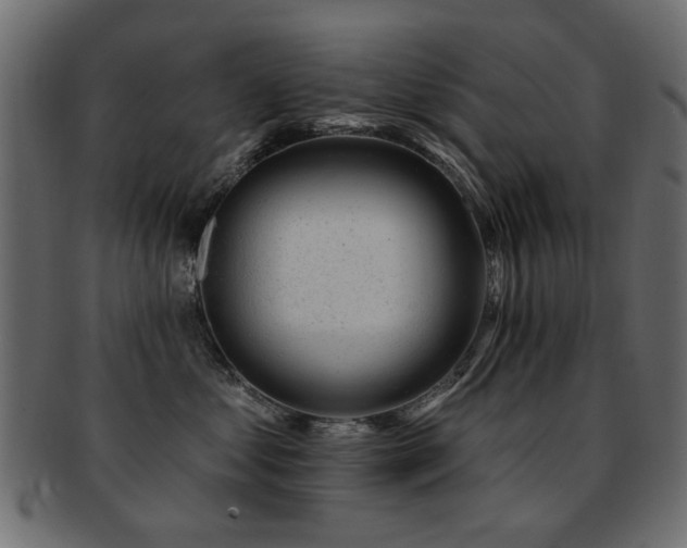 X0000093210621200709261558