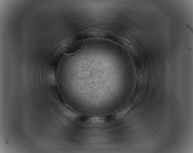 X0000093210622200709261558
