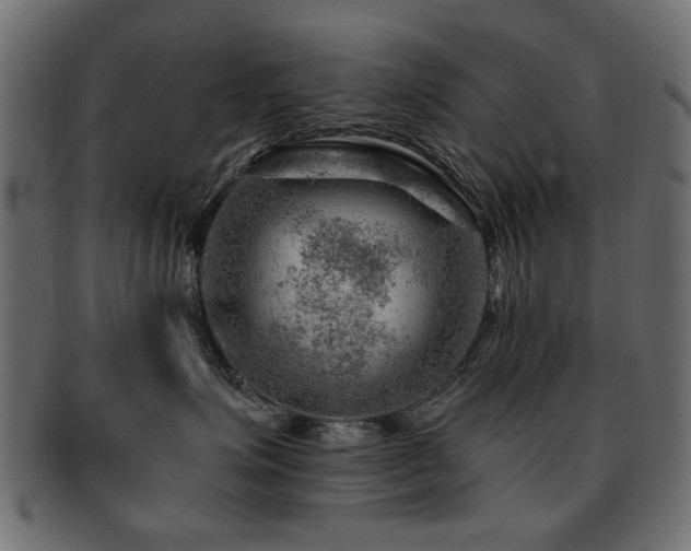 X0000093210623200709261558