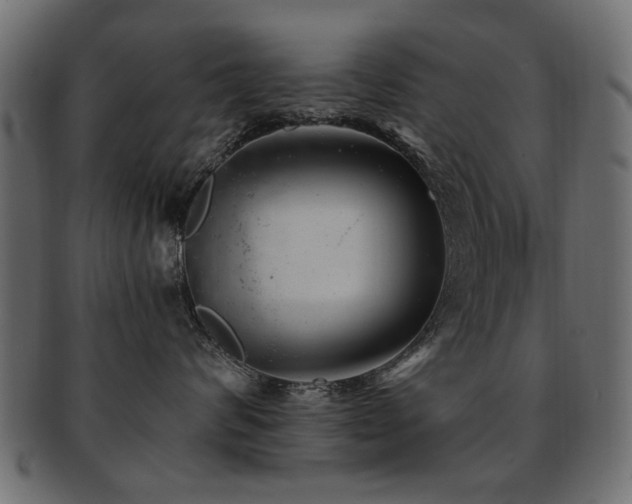 X0000093210624200709261558