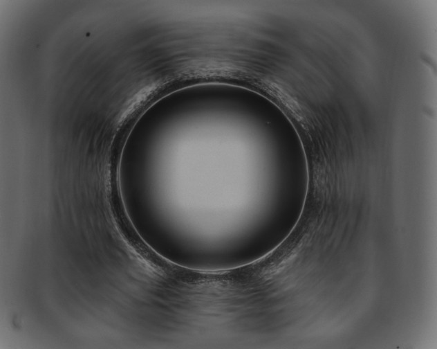 X0000093210629200709261557
