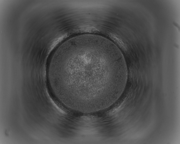 X0000093210630200709261557