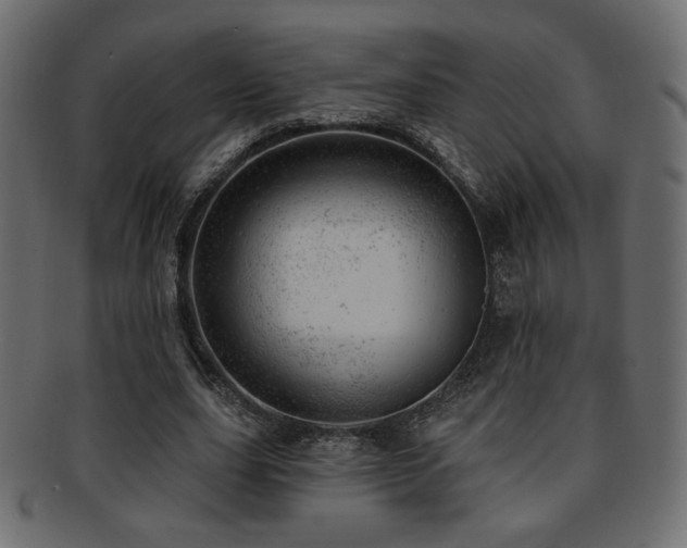 X0000093210631200709261557