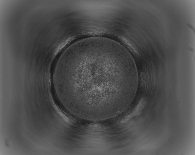 X0000093210634200709261557