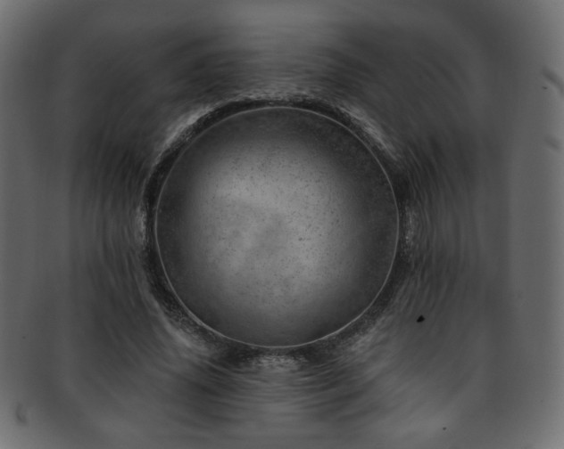 X0000093210636200709261557