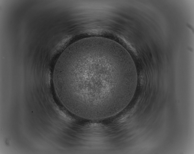 X0000093210637200709261557