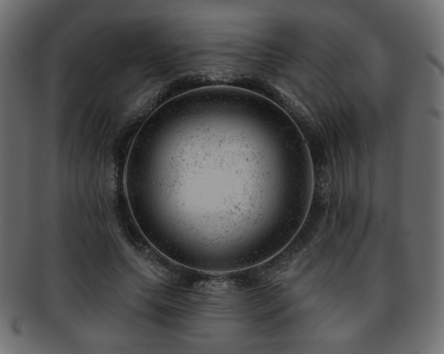 X0000093210639200709261557