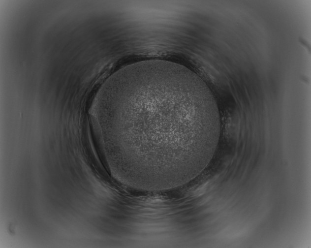 X0000093210643200709261557