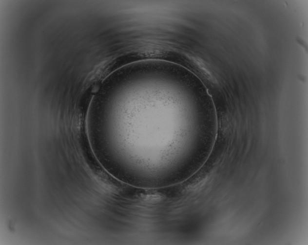 X0000093210645200709261557
