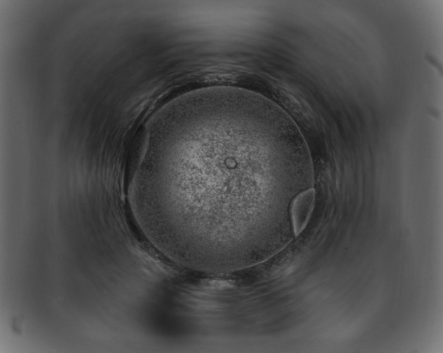 X0000093210649200709261557