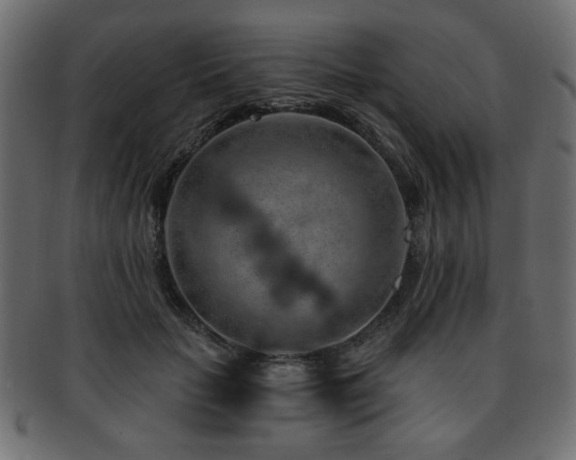 X0000093210653200709261557