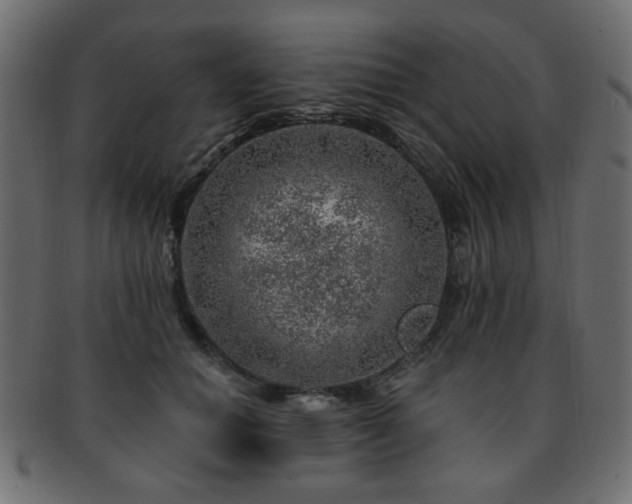 X0000093210654200709261557