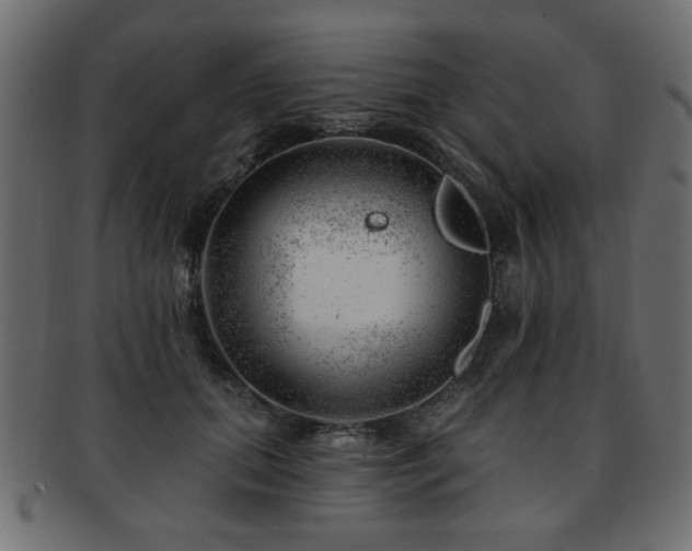 X0000093210655200709261557