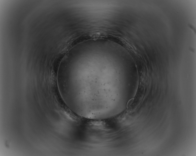 X0000093210659200709261557
