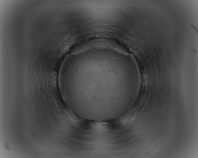 X0000093210664200709261557