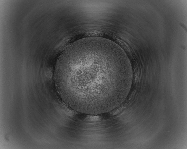 X0000093210665200709261557