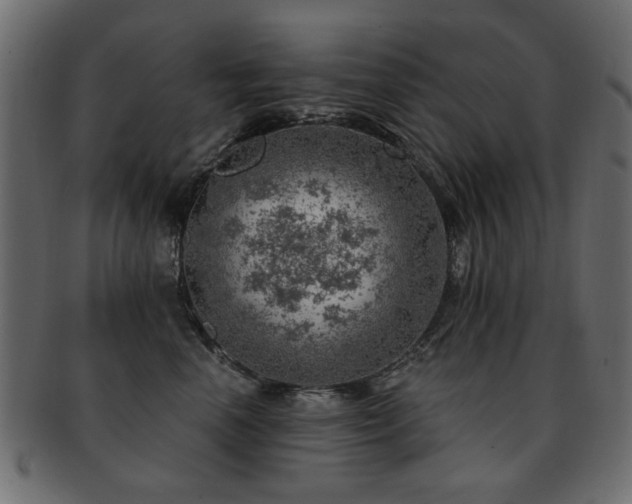 X0000093210666200709261557