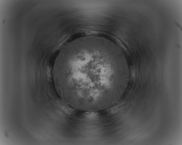 X0000093210667200709261557
