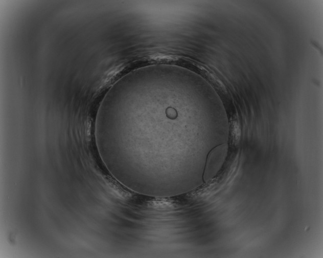 X0000093210668200709261558