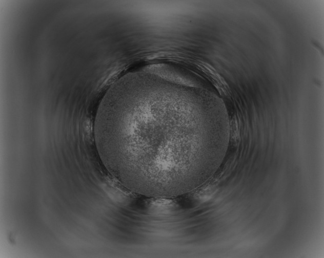 X0000093210669200709261558