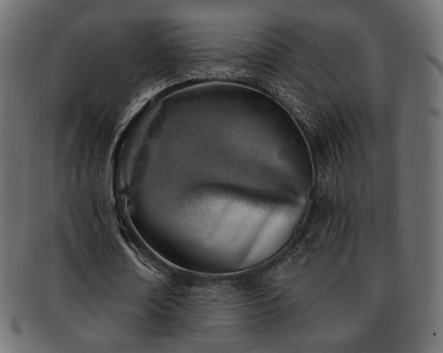 X0000093210674200709261557