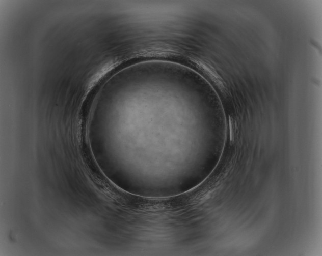 X0000093210675200709261557