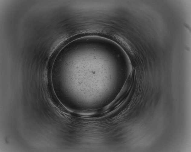 X0000093210676200709261557