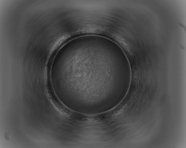 X0000093210678200709261557