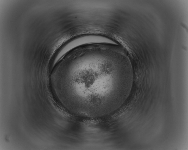 X0000093210679200709261557