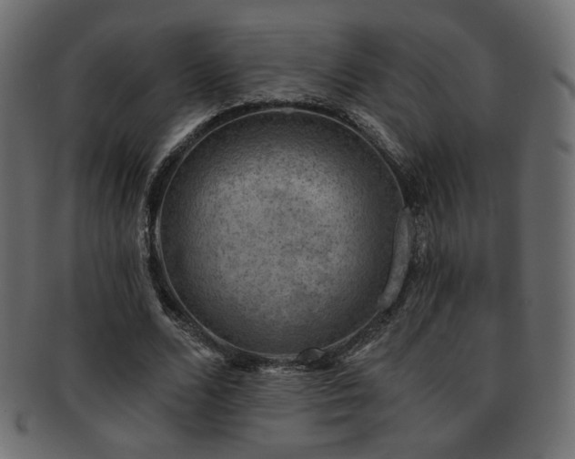 X0000093210680200709261557