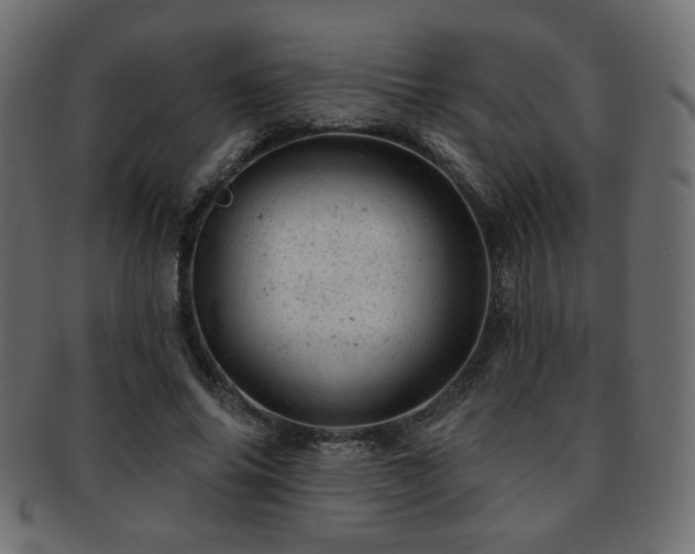 X0000093210686200709261557