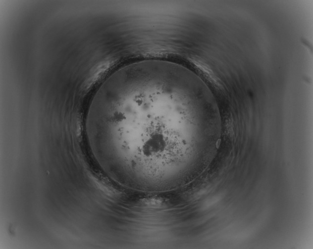 X0000093210687200709261557