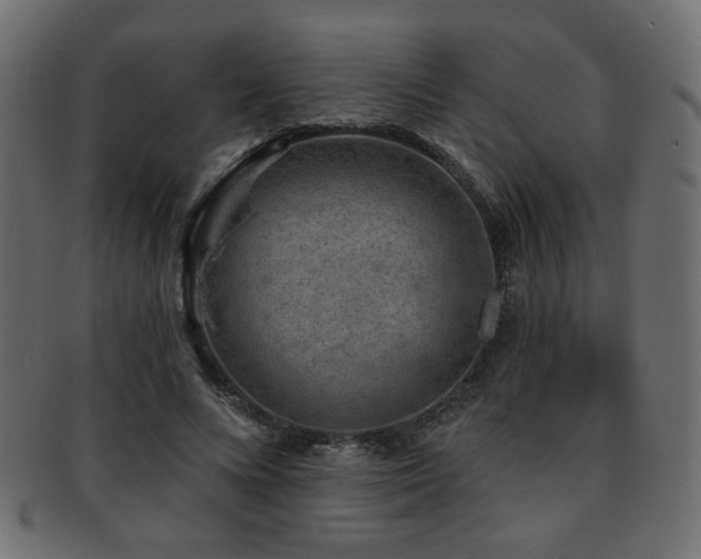 X0000093210688200709261557