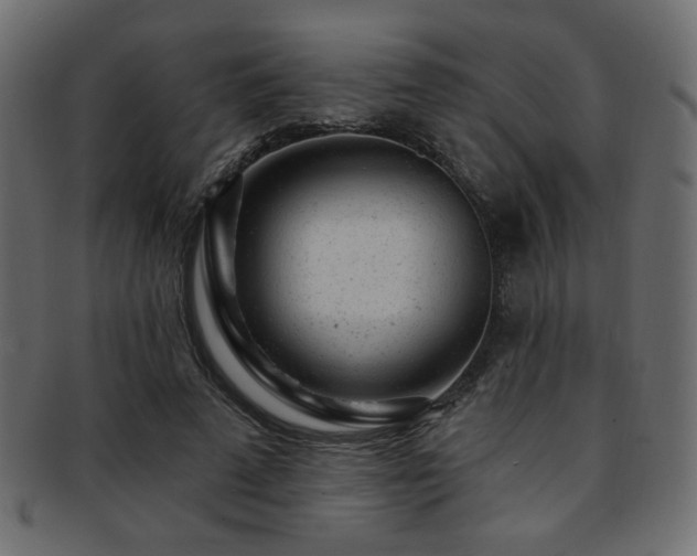 X0000093210689200709261557