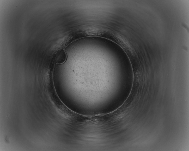 X0000093210690200709261557