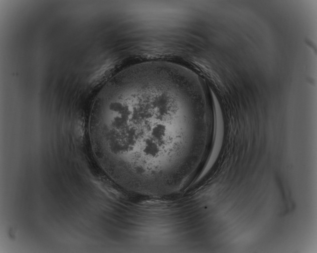 X0000093210691200709261557