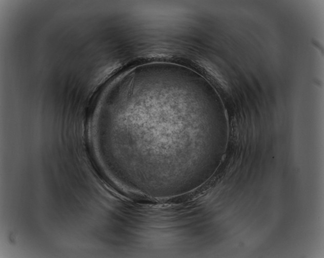 X0000093210692200709261557