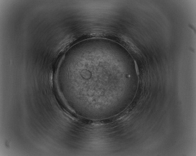 X0000093210696200709261557